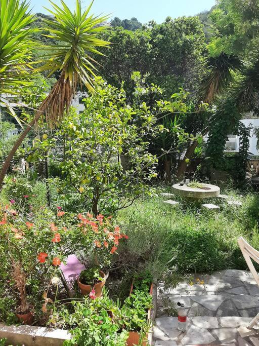 Jardin Piscine Holiday home *