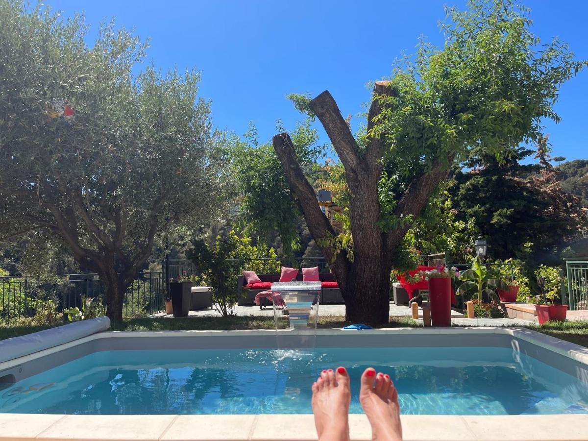 Apartment Studio Cimiez Piscine Et Jardin *