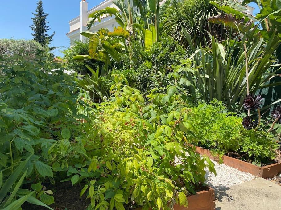 Bas Maison Mont-boron 3 Bedrooms *