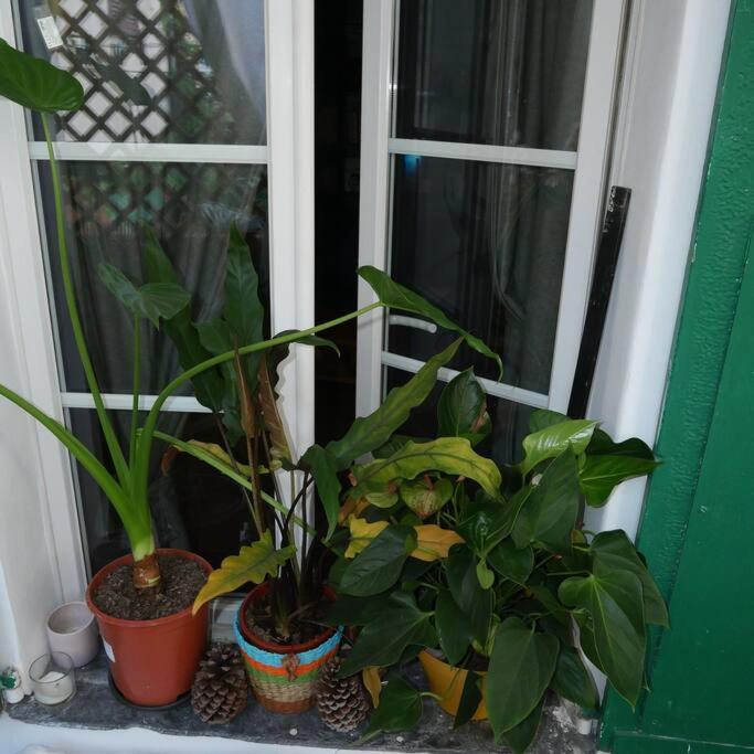 Petit Appart Atypique * Nice