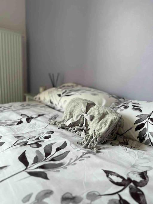 Beautiful Flat With Sunny Balcony In Heart Of Le Port Nice