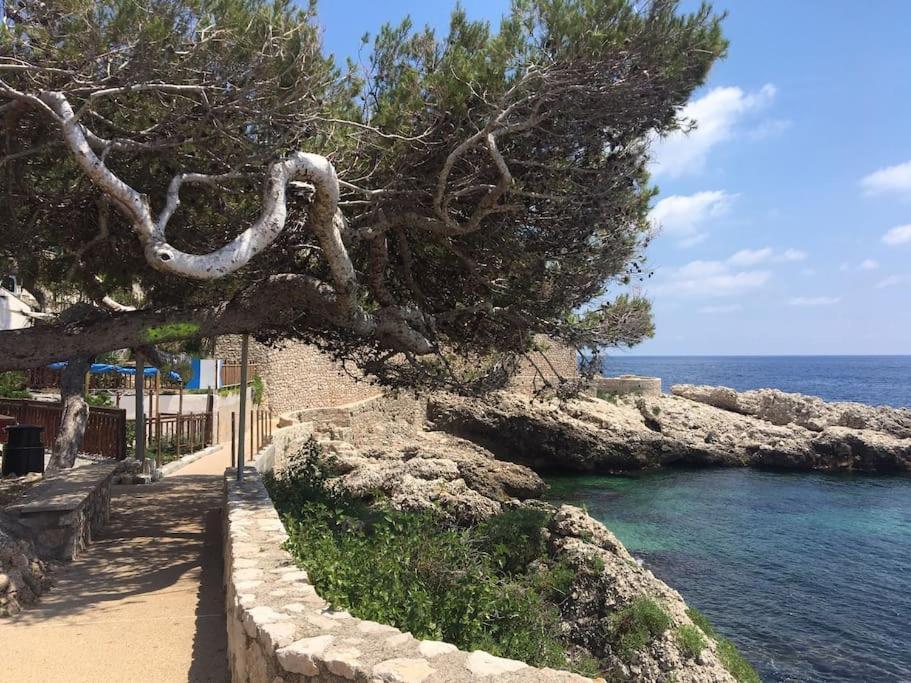 Apartment Bright At Mimi's *