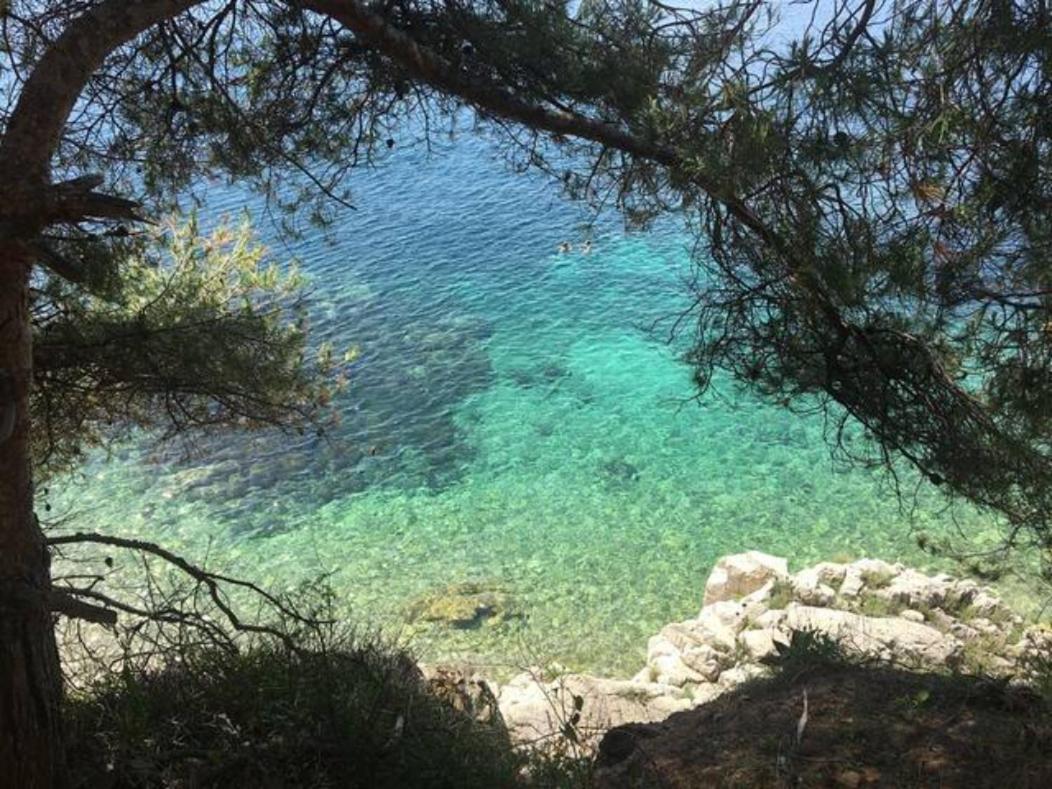 Apartment Bright At Mimi's *