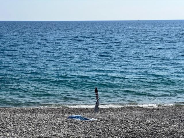 Jardin Sur La Promenade Des