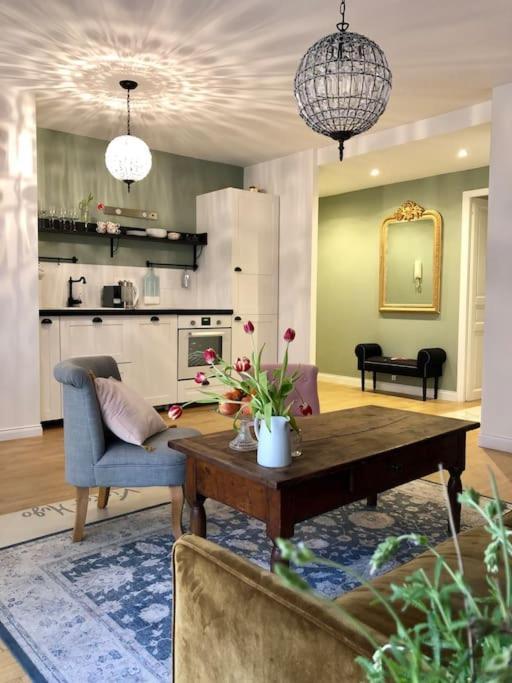 Large Magnificent Terrace Appartement
