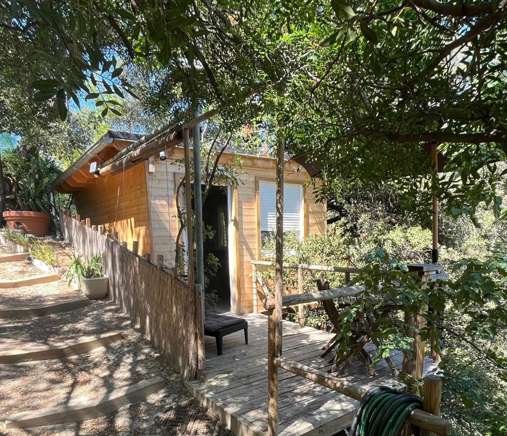 Chalet Dans Les Arbres *