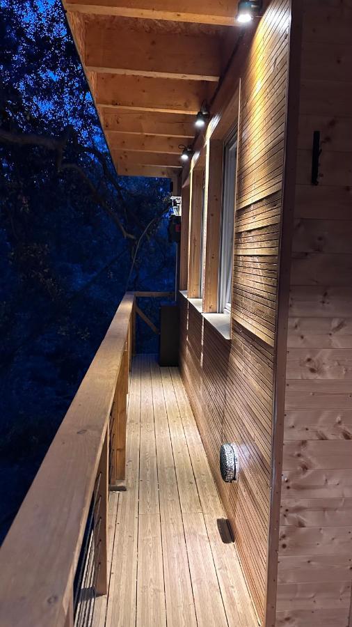 Dans Les Arbres Chalet *