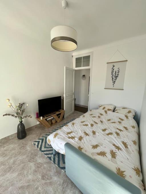 Apartment 2 Pieces Cocooning Pres Du Port/gare Riquier *