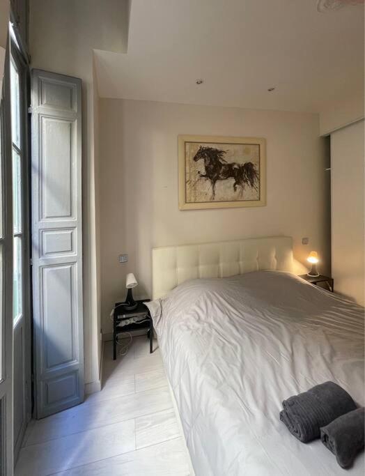 Apartment Luxury In The Heart Of Old Town Nice. *