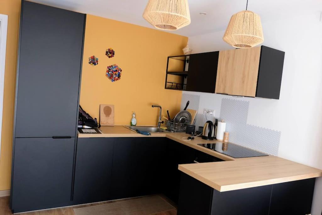 Homestay Chambre Spacieuse Et Lumineuse Chez L'habitant Nice