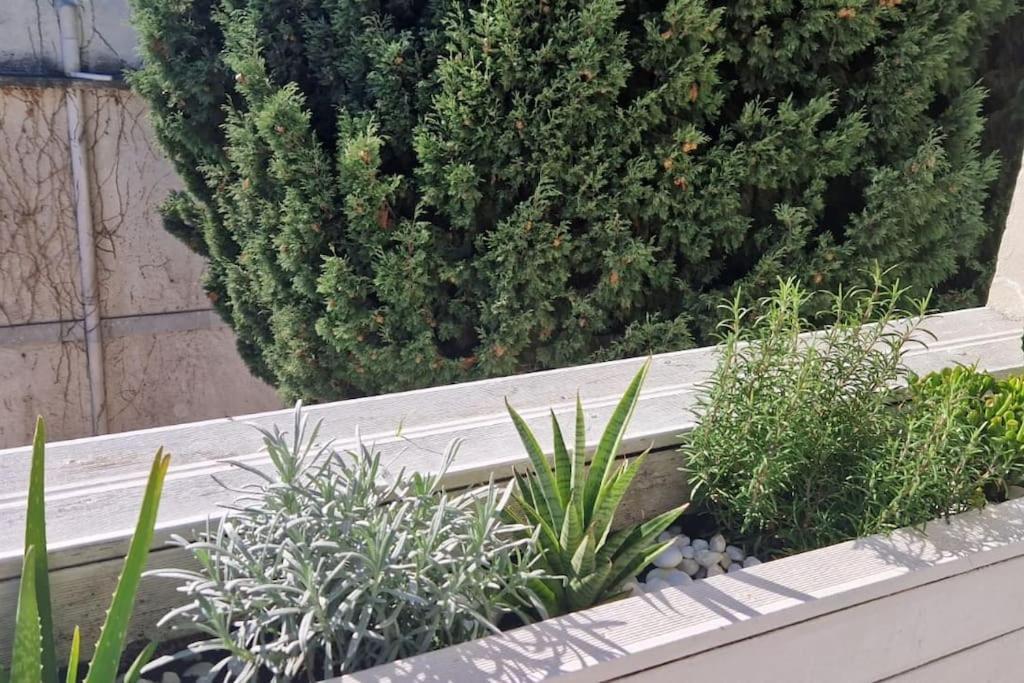 Californie Promenade Des Anglais Appartement