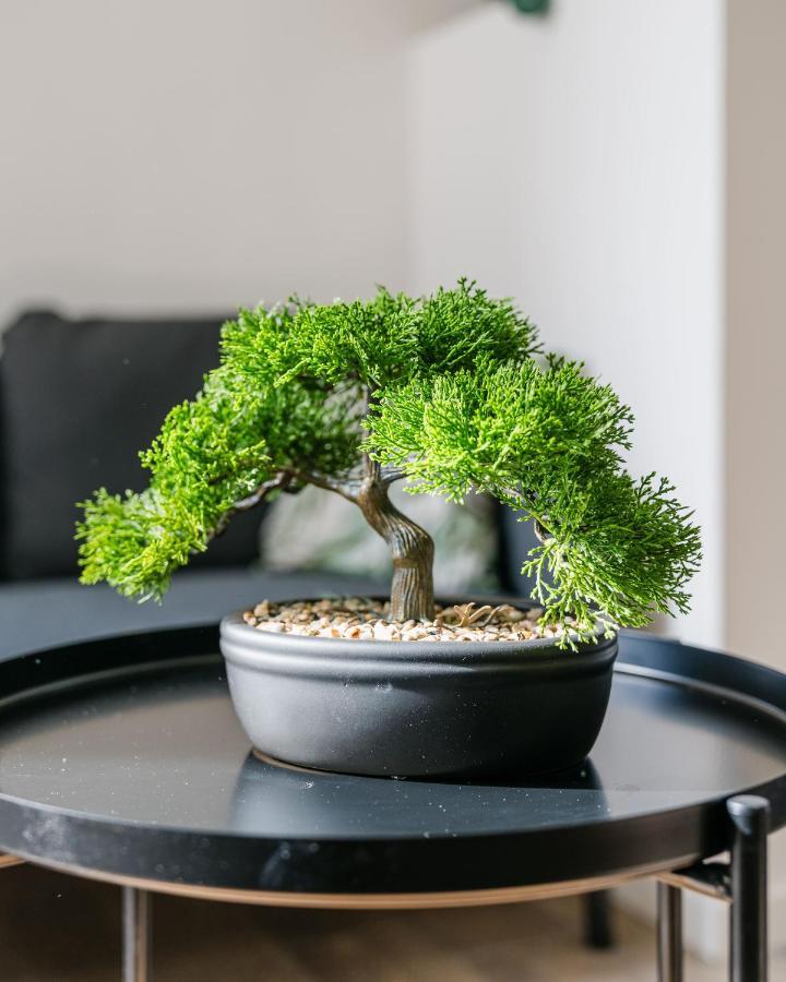 Apartment Nicehome Massena