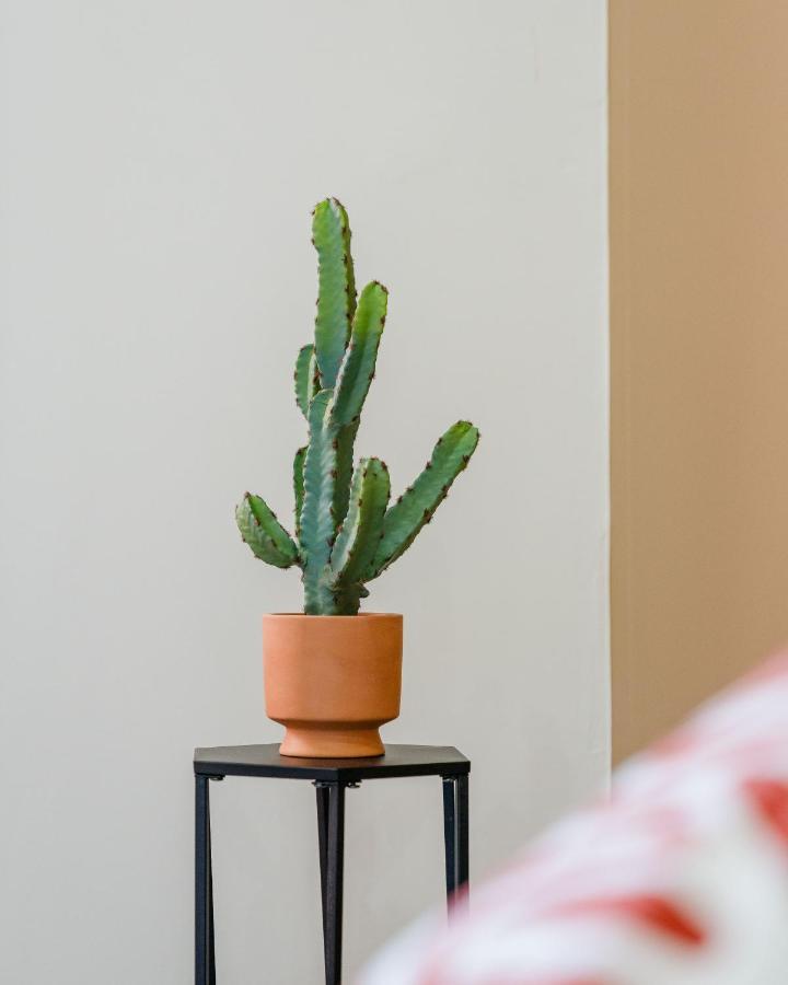 Nicehome Massena * Nice