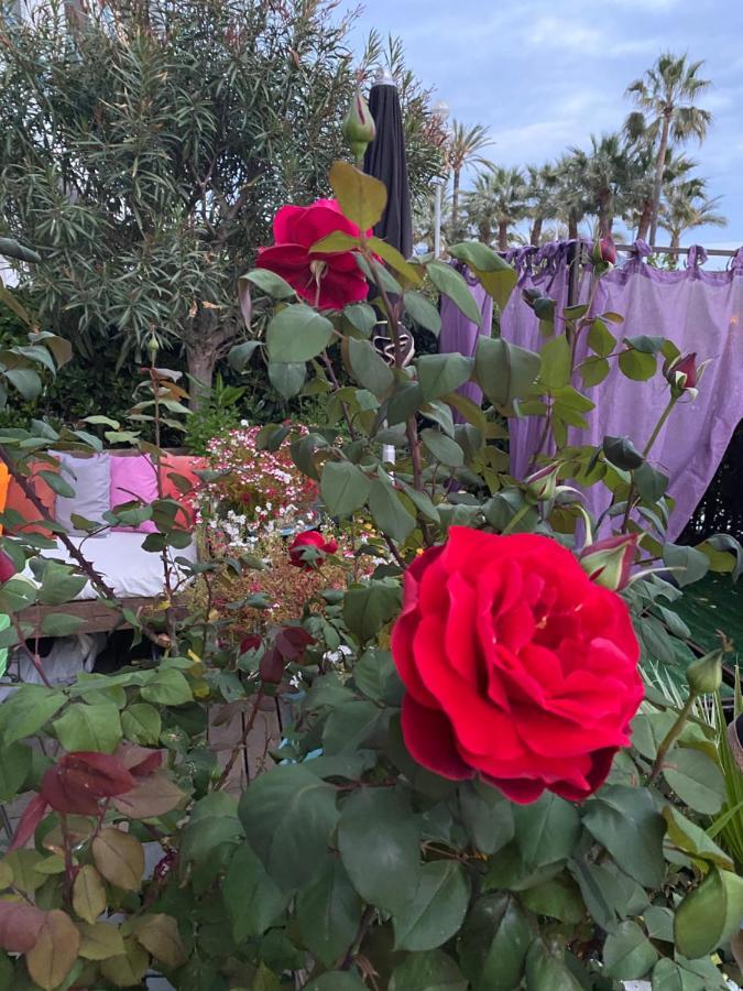 Promenade Des Center Sea And Front Design Flat With Private Garden Apartment