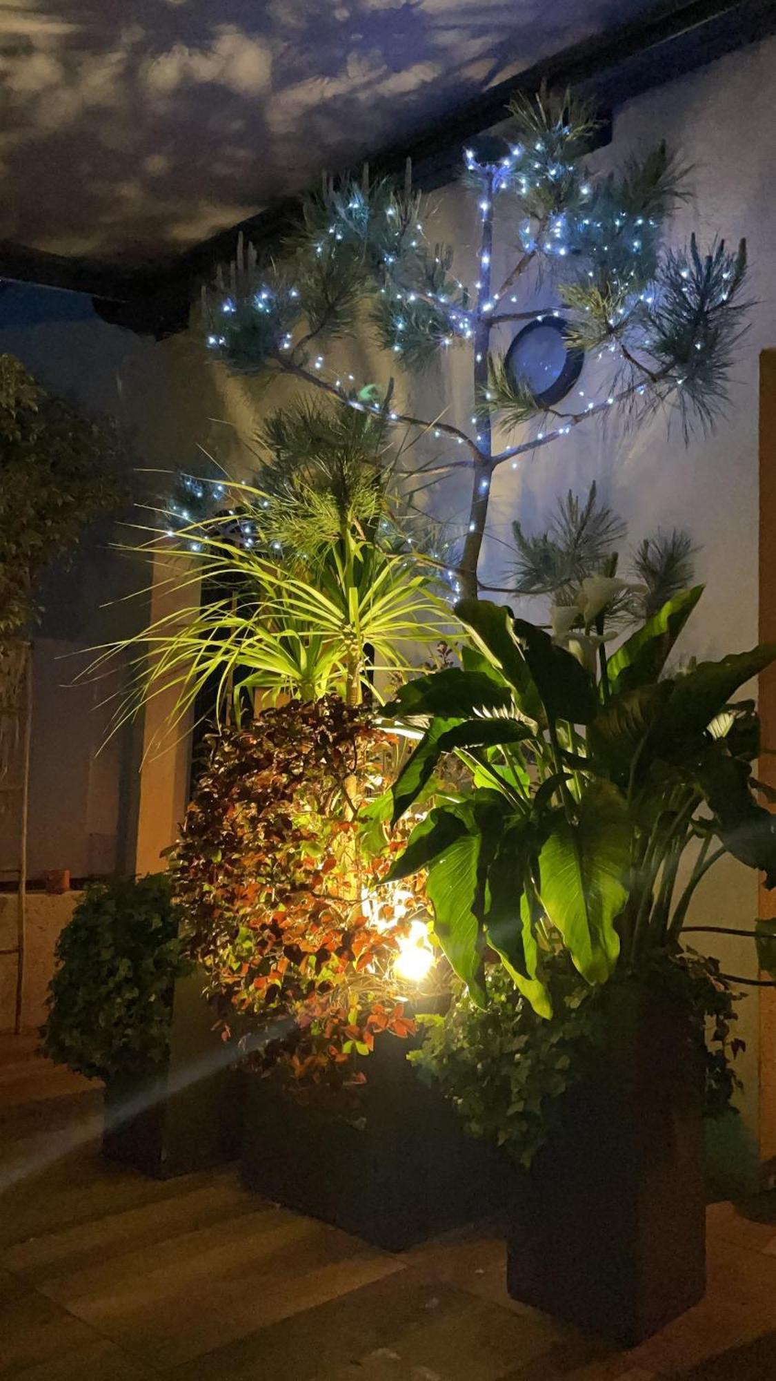 Exceptional Terrace In Center Of Apartment *