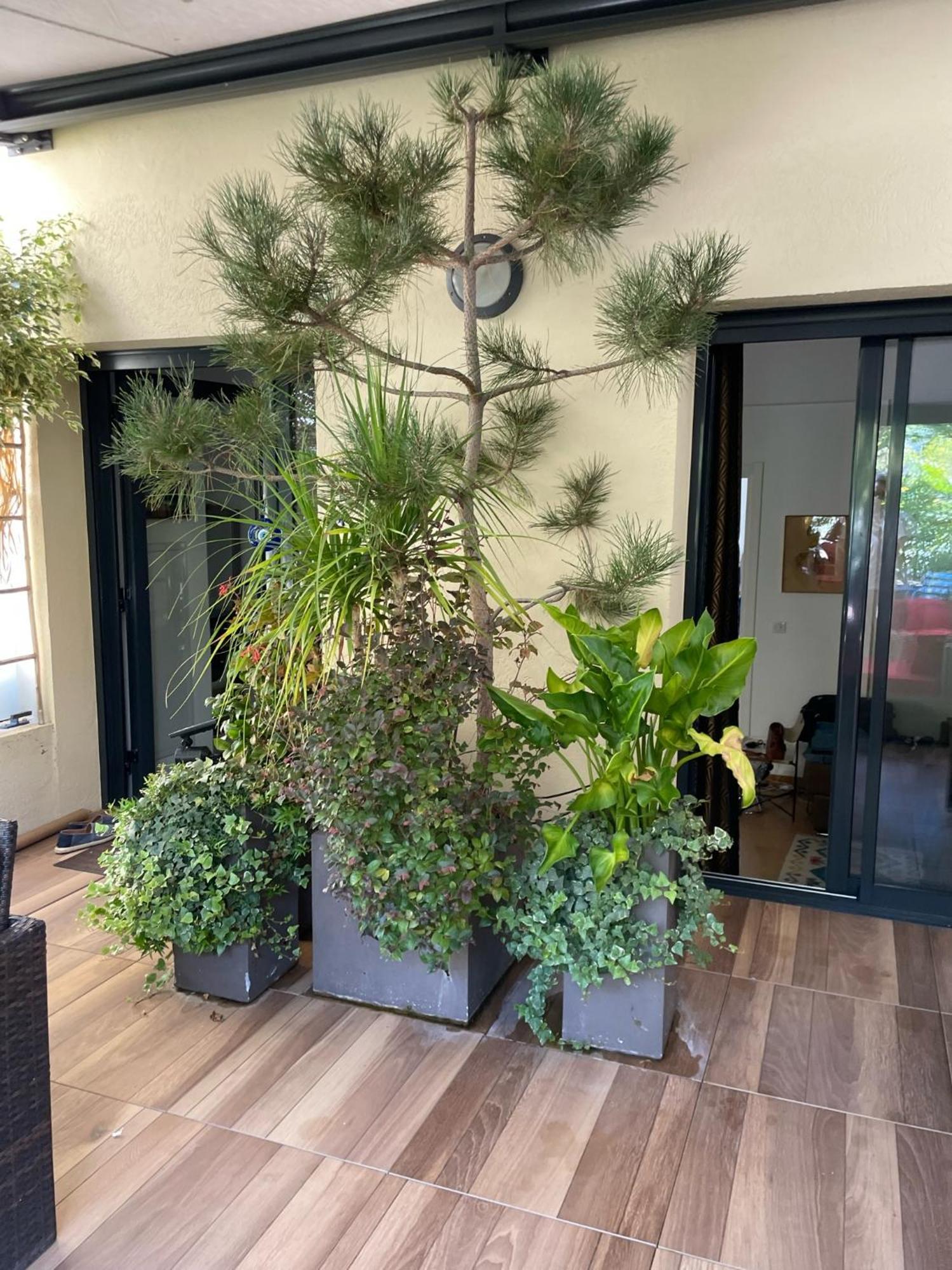 Apartment Exceptional Terrace In Center Of *