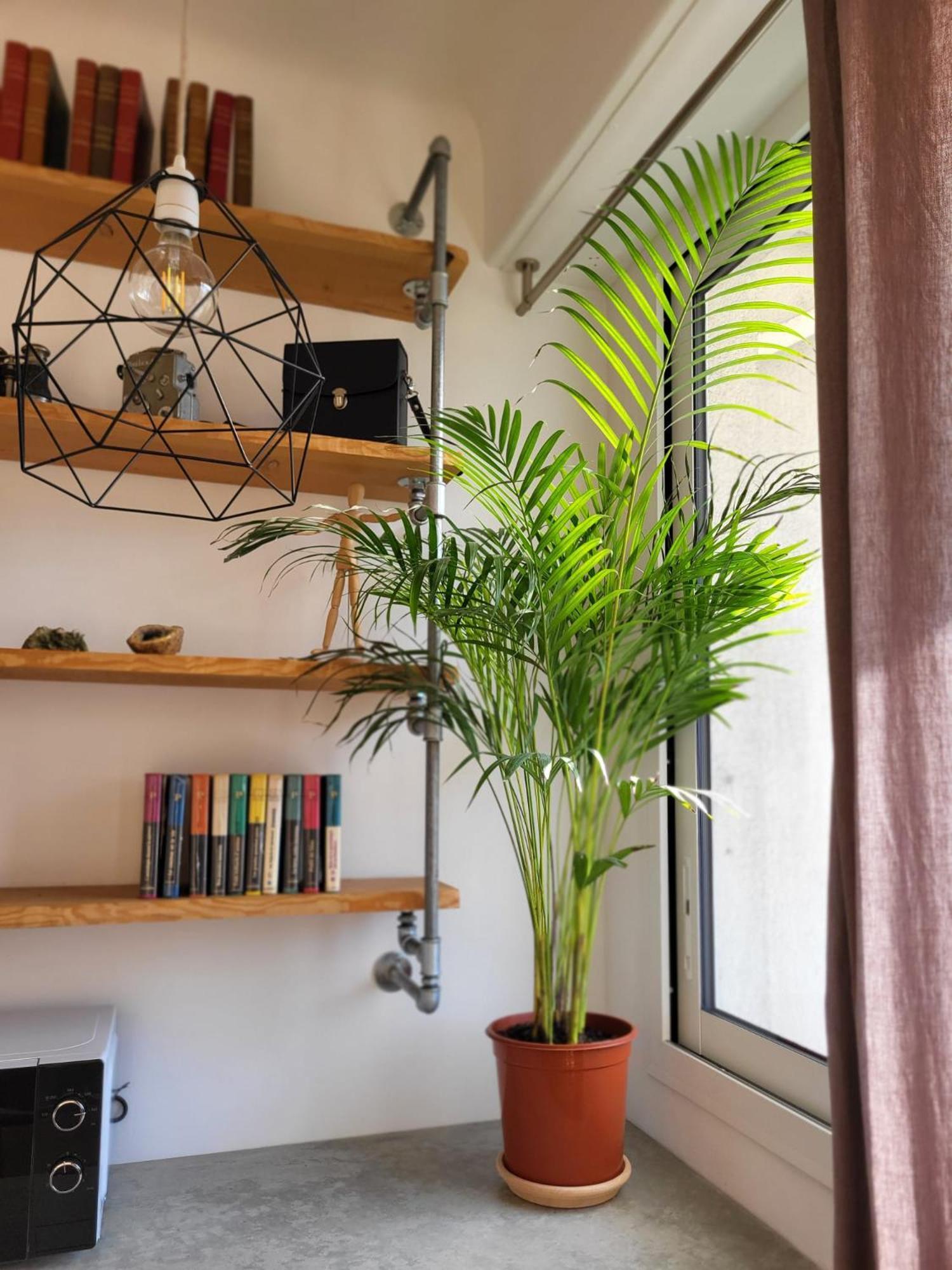 #thecosystudio06 Meyerbeer Promenade Negresco Apartamento Nice
