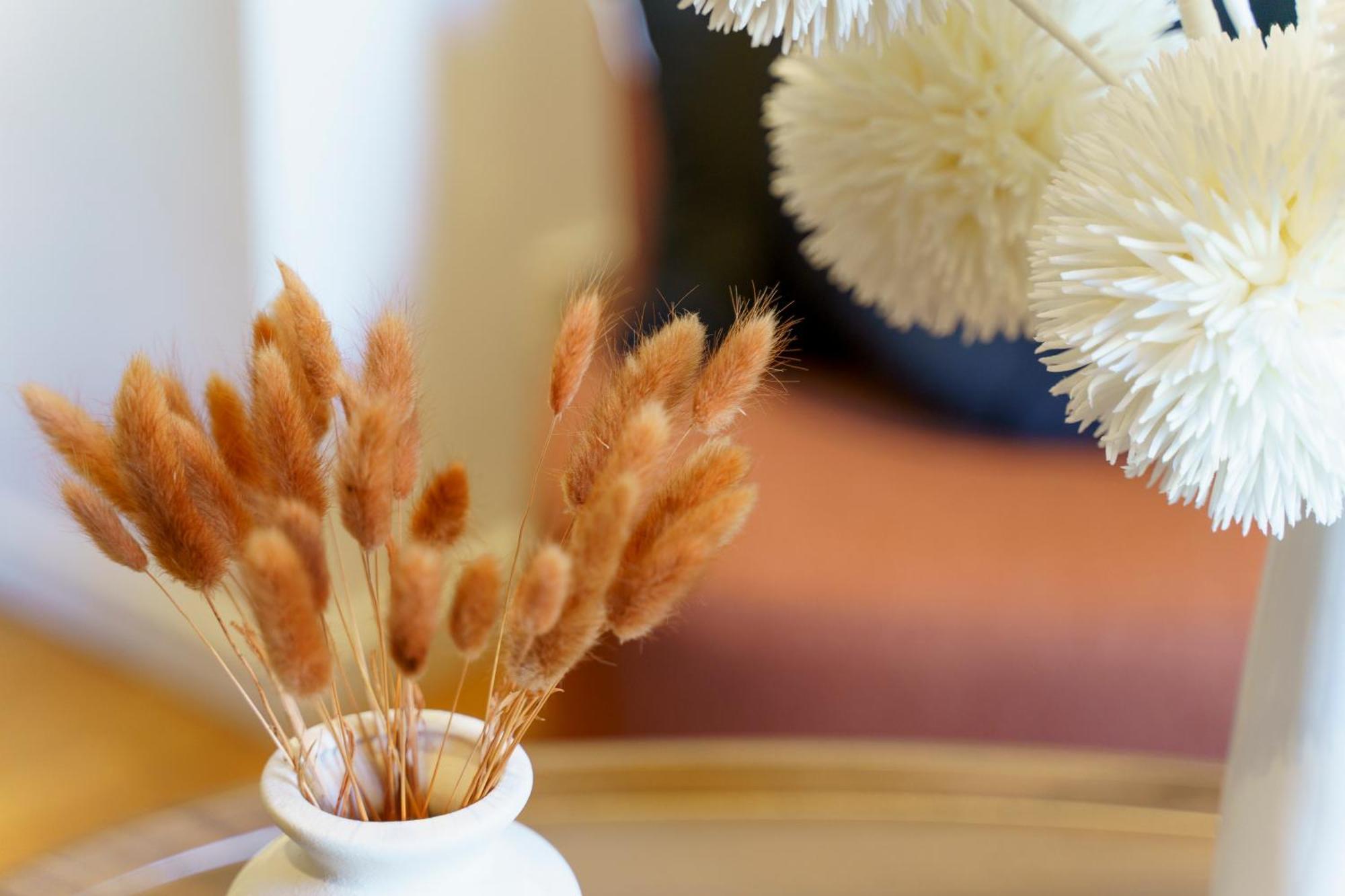 Renting - 9b Massena - Chic Escape In The Heart Of Comfort & Charm ! *