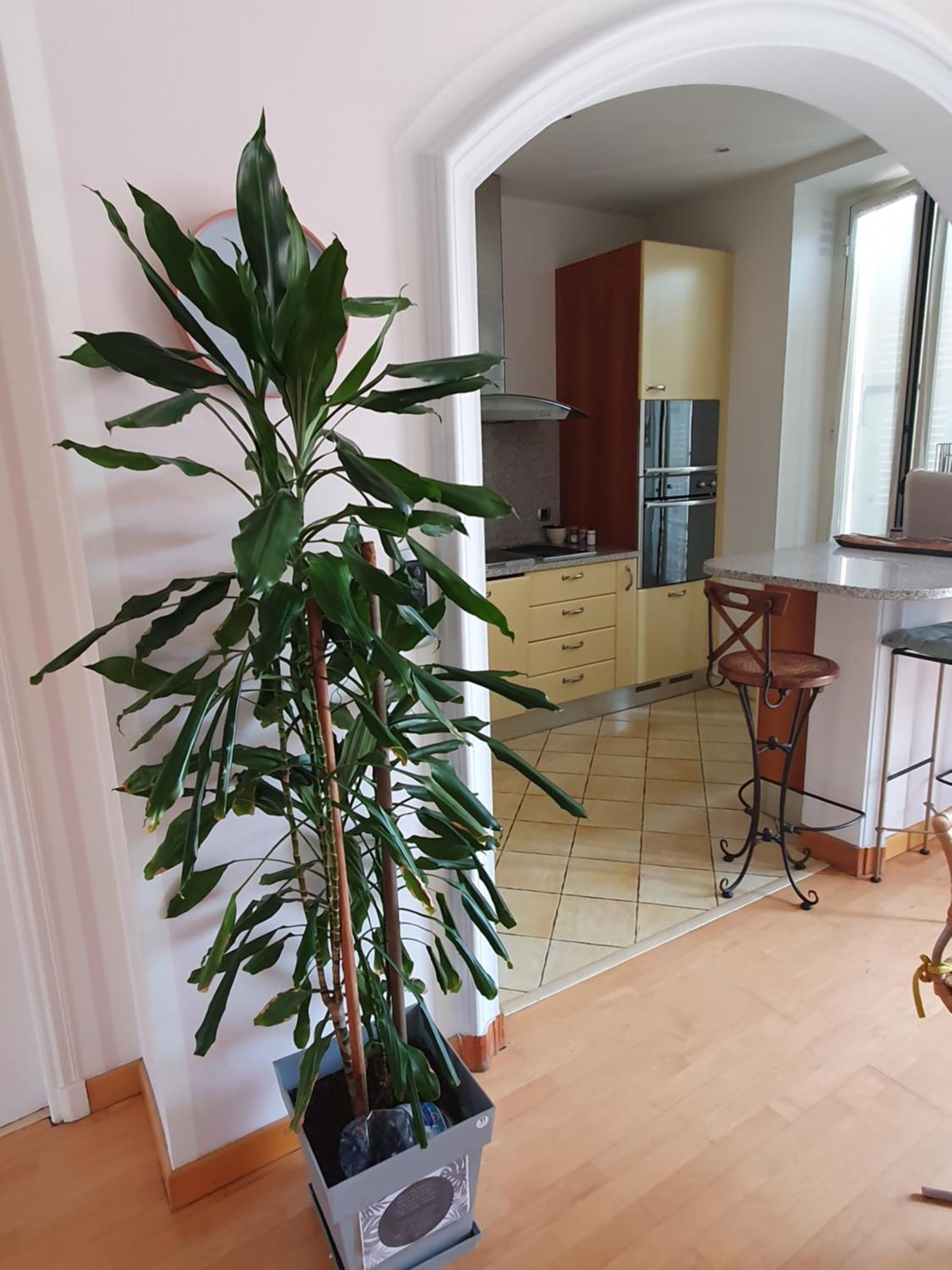 Apartment From 1882, Romantic Flat, In The Golden Square