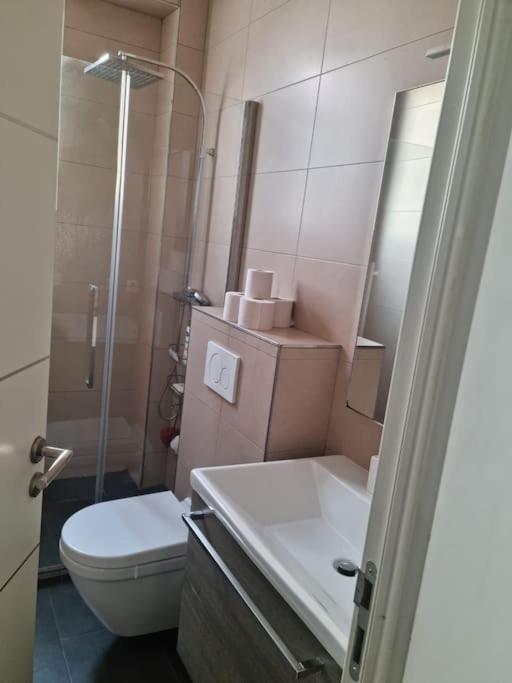 Cosy And Lovely Flat Au Port De ! Appartement *