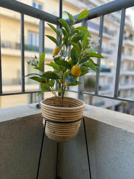 Bottero-joli Avec Terrasse 5 Mins De La