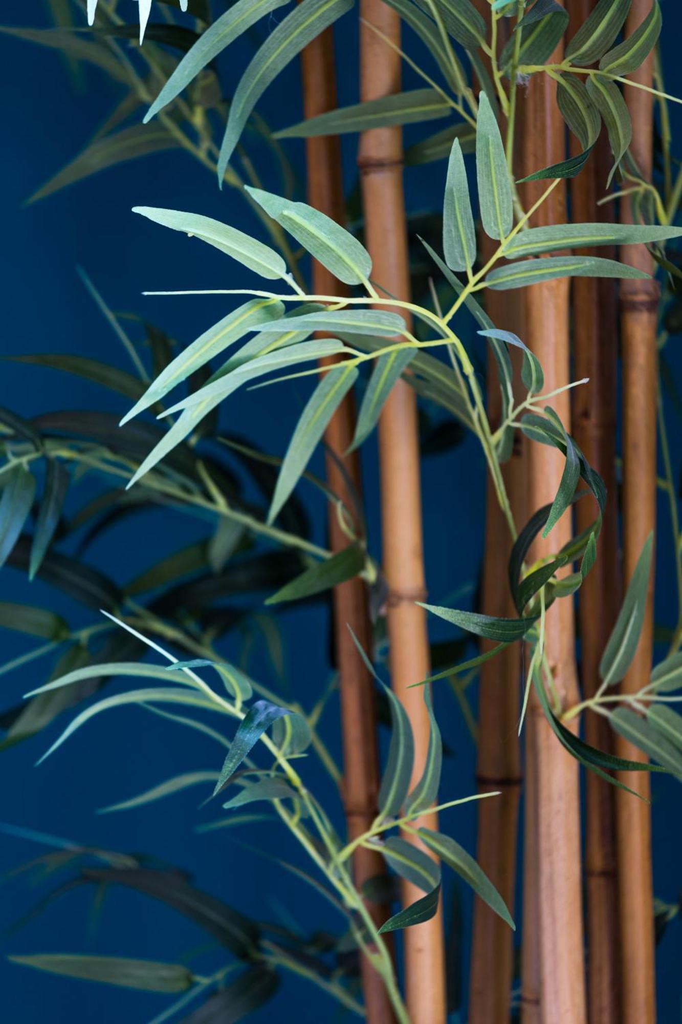 3 Fodere - Magnifique 2 Pieces - Quartier Du Port - Dernier Etage * Nice