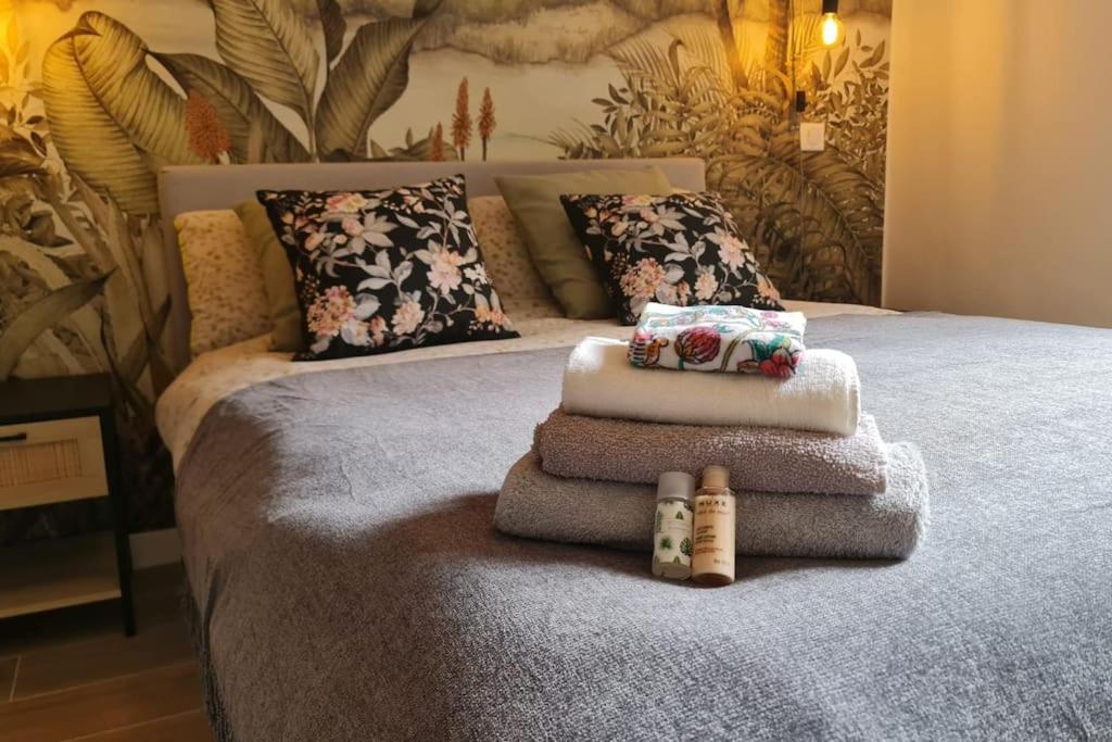 Jean Jaures - Vieux Superbe T2 Ensoleille Avec Grand Balcon Apartment *
