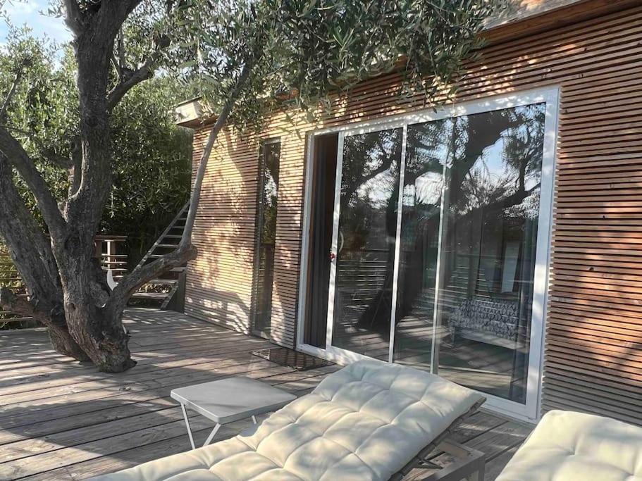 Vue Chic Dans L'olivier, Piscine Nice