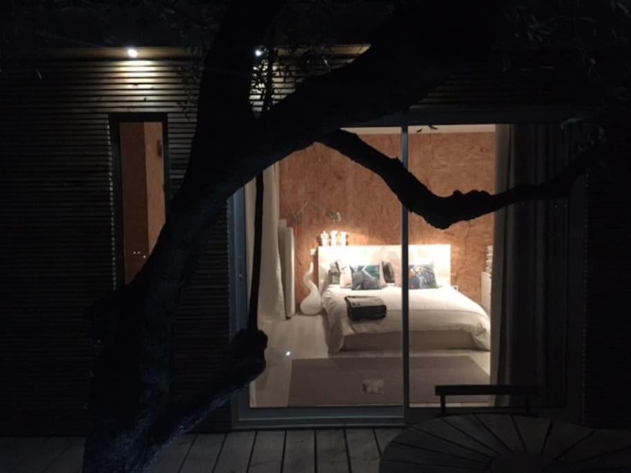 Apartment Vue Chic Dans L'olivier, Piscine Nice