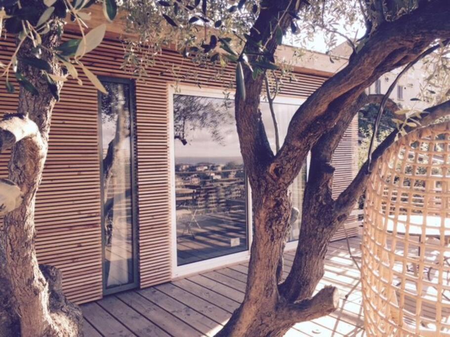 Vue Chic Dans L'olivier, Piscine Apartment Nice