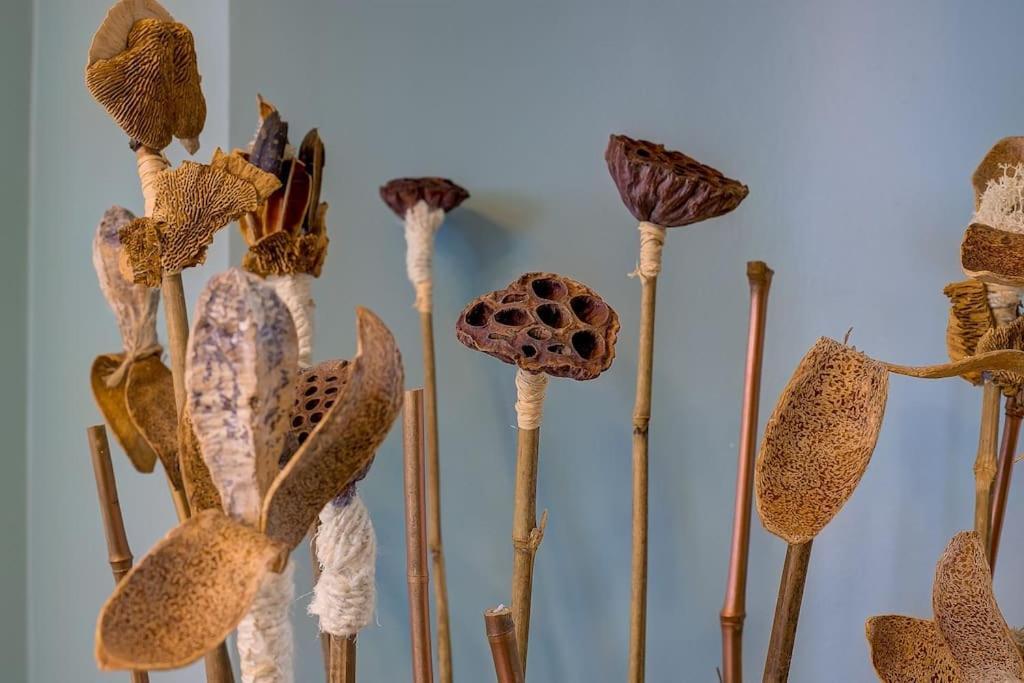 Apartment Luxury In Center Of Nice