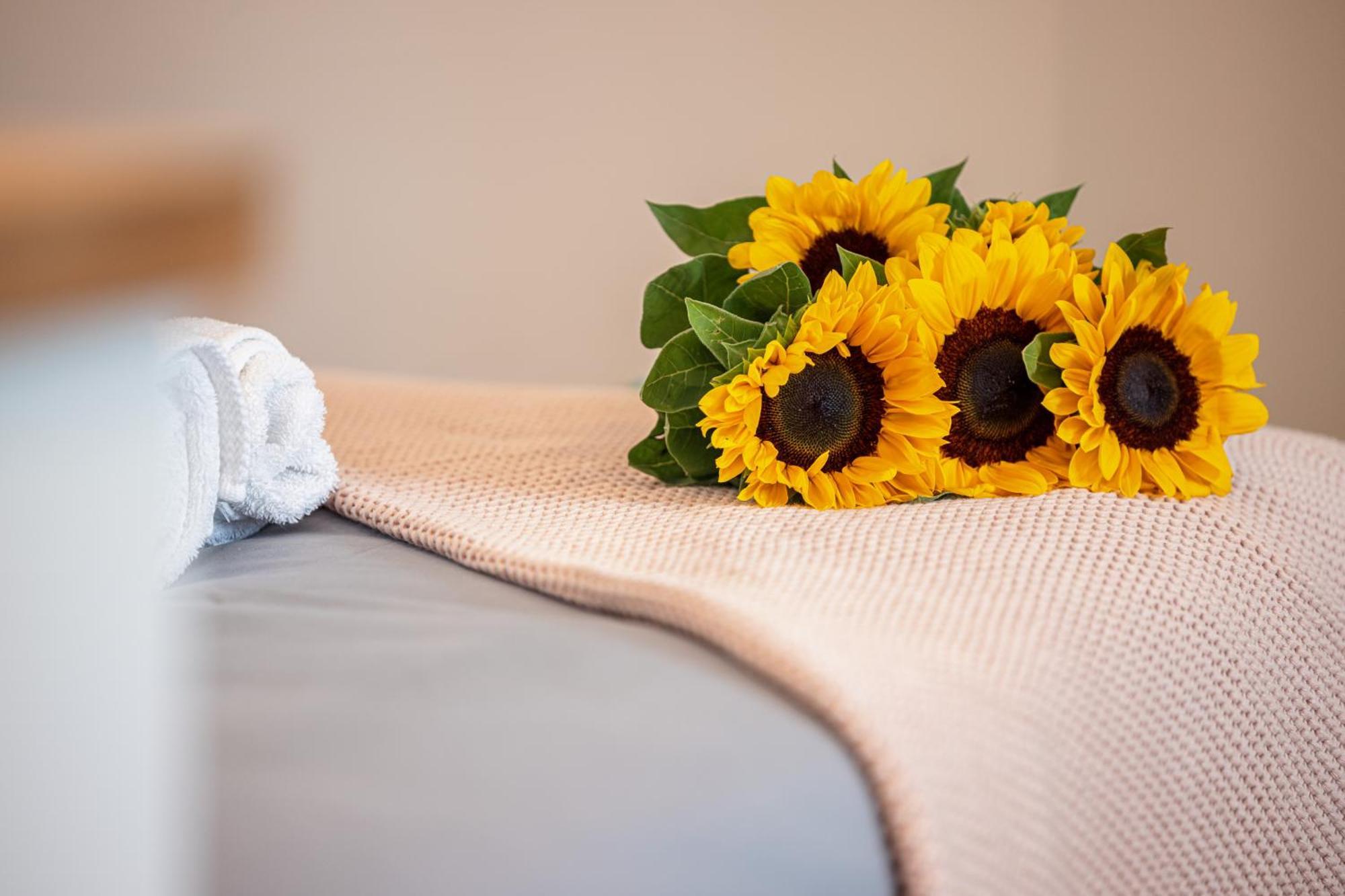 Apartment Feel - Collet Nice