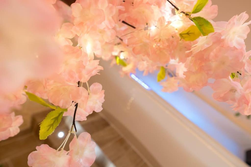 Avec 2 Jacuzzi Balneo, Parking Apartment Nice