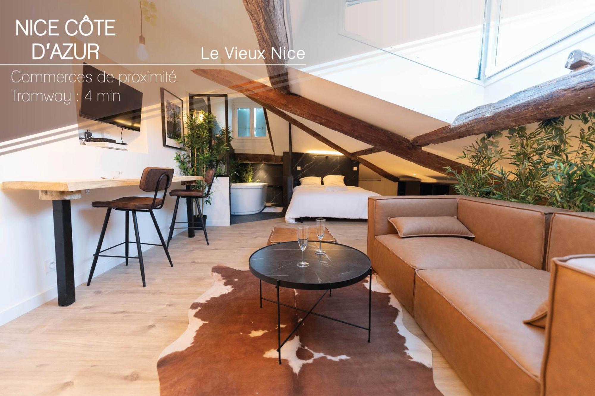 Apartment Superbe Loft - Vieux - Balneo Nice