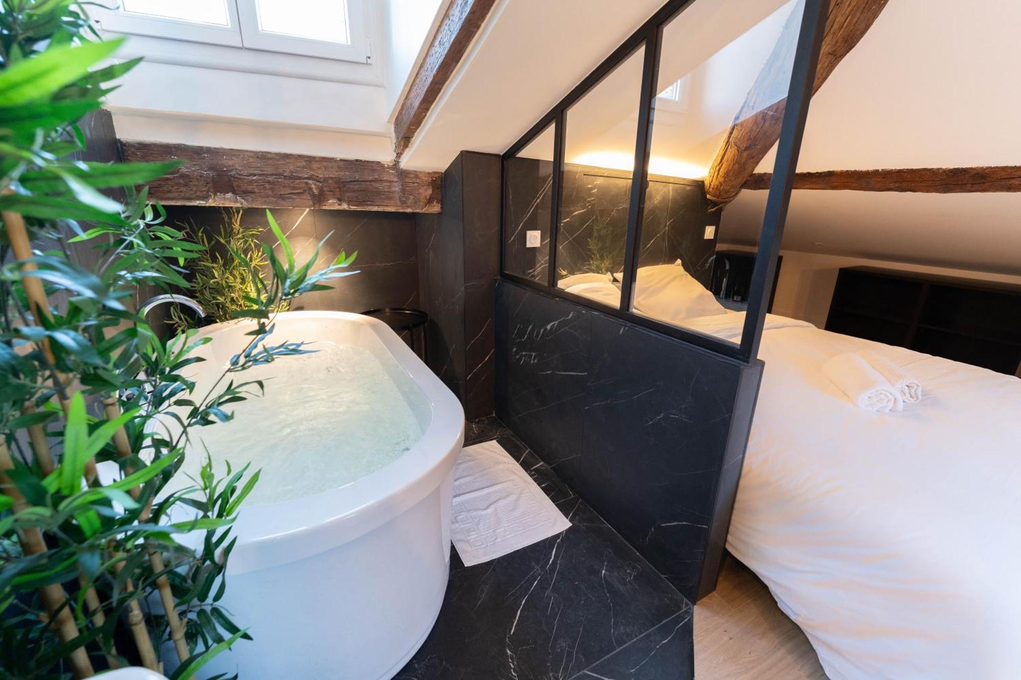 Apartment Superbe Loft - Vieux - Balneo