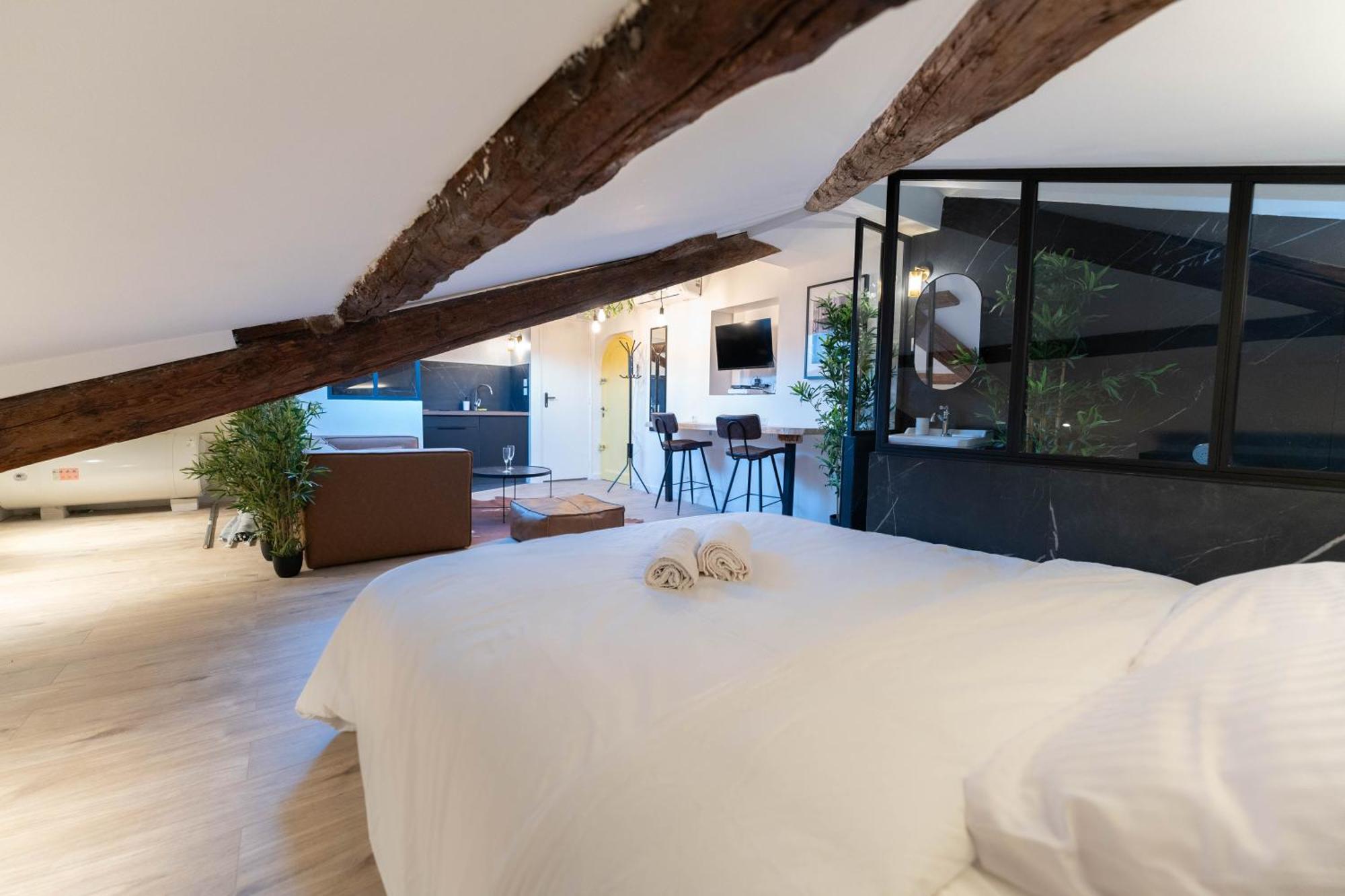 Apartment Superbe Loft - Vieux - Balneo
