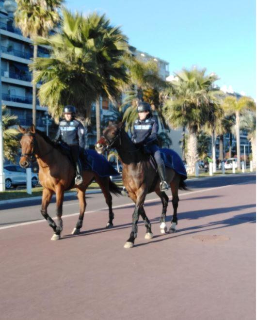 Apartment Magnifique Centre-ville Nice