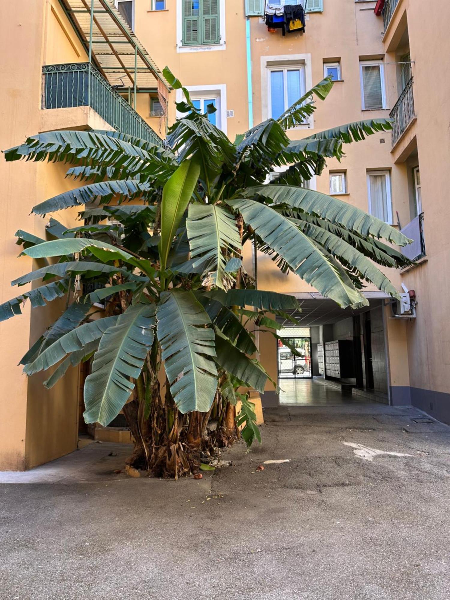 Mezzanine Sur Le Port Apartment