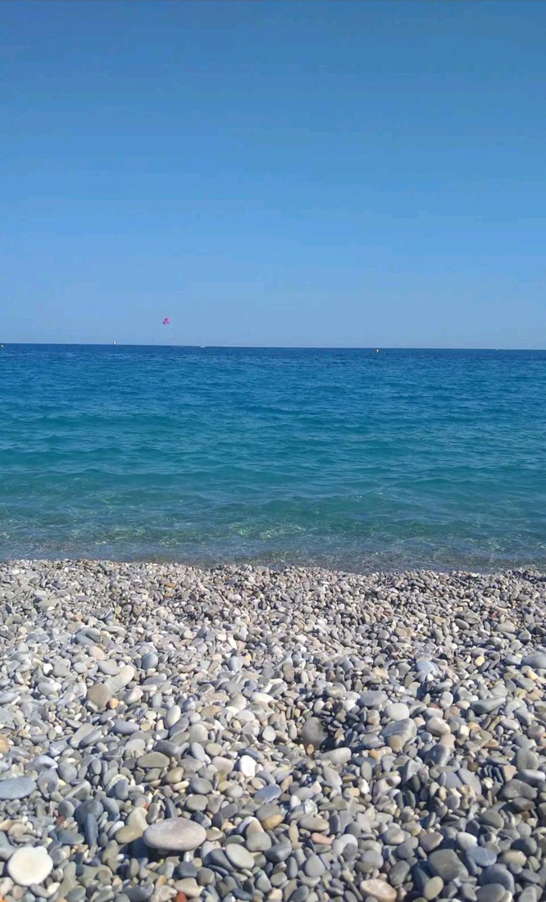 Entier - Les Baumettes * Nice