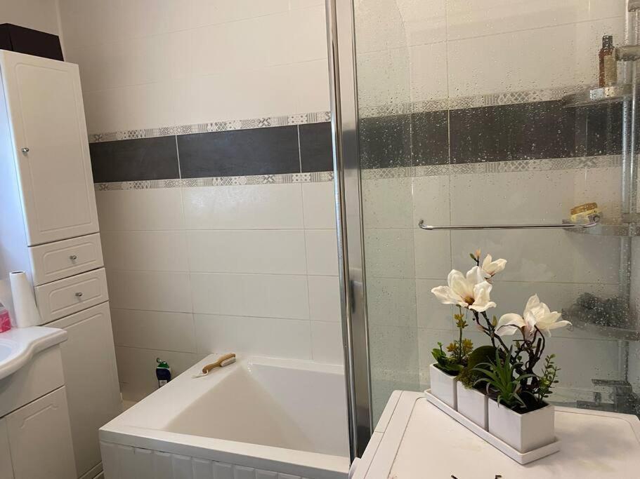 Angele Stephen * Nice