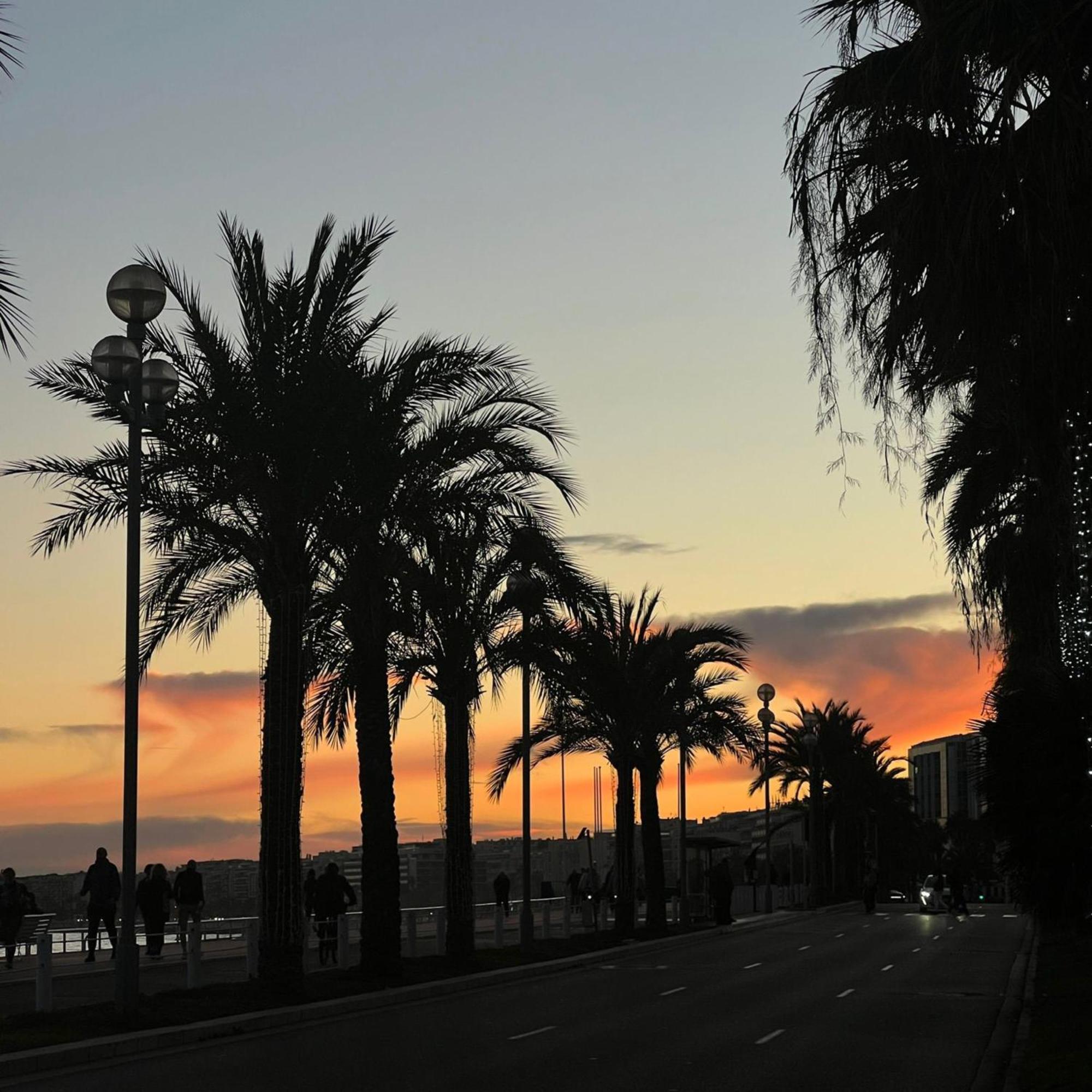 Cozy Near Promenade Apartment *