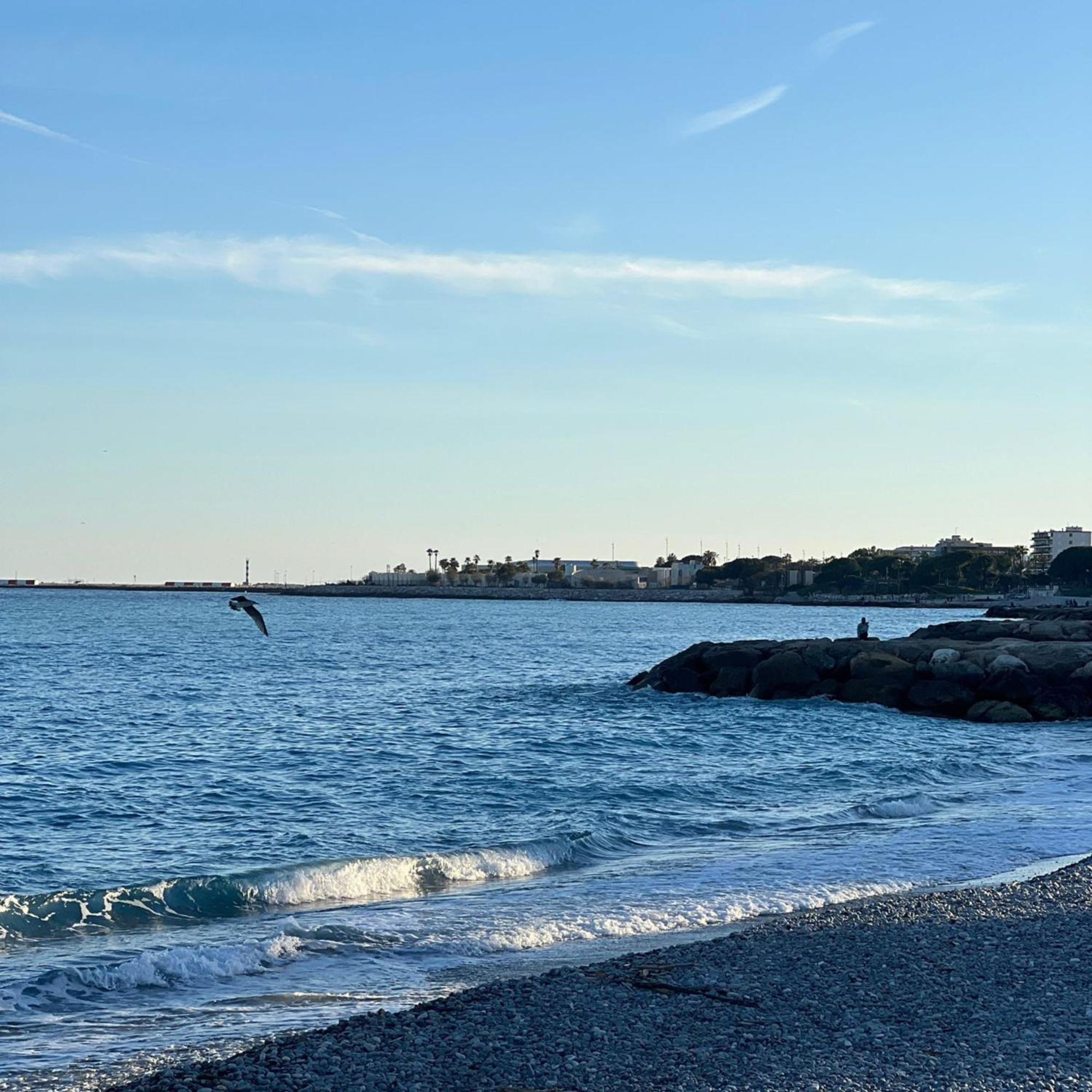 Cozy Near Promenade Nice