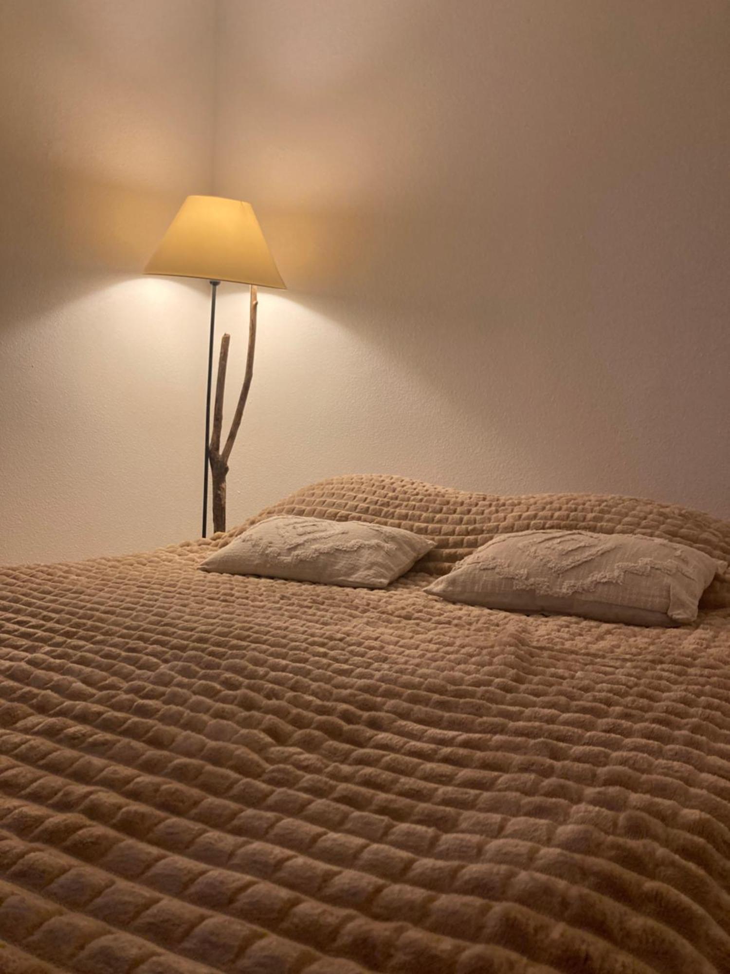 Grand Terrasse Et Piscine