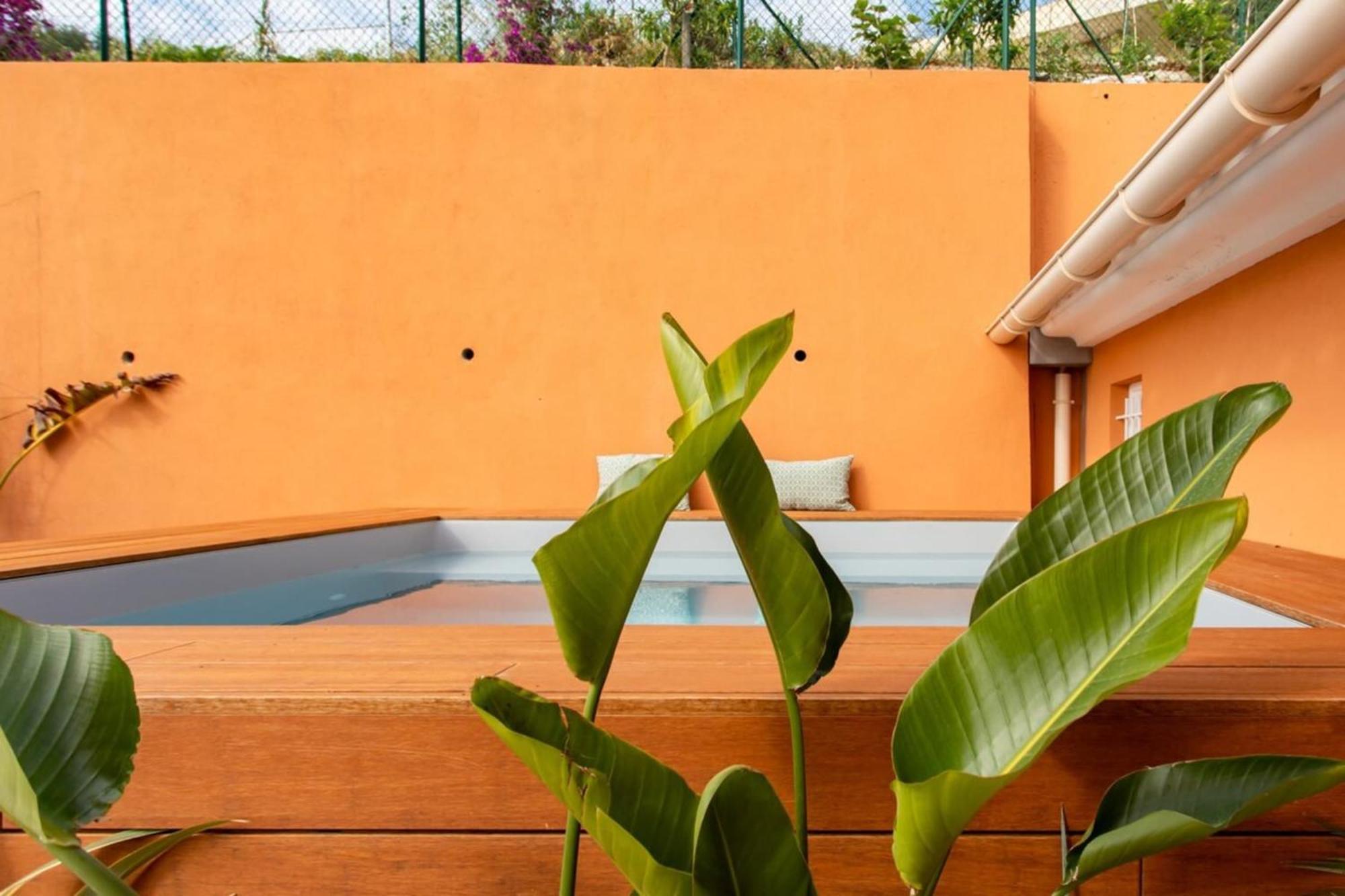 Oliveraie Furnished * Nice