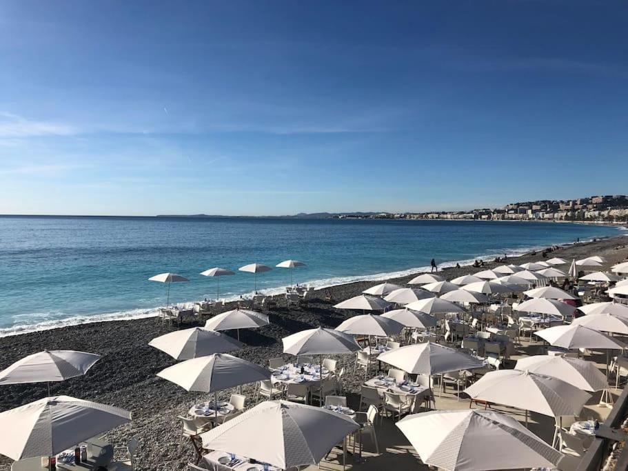 Appartement Palais Riviera Climatise Vieux
