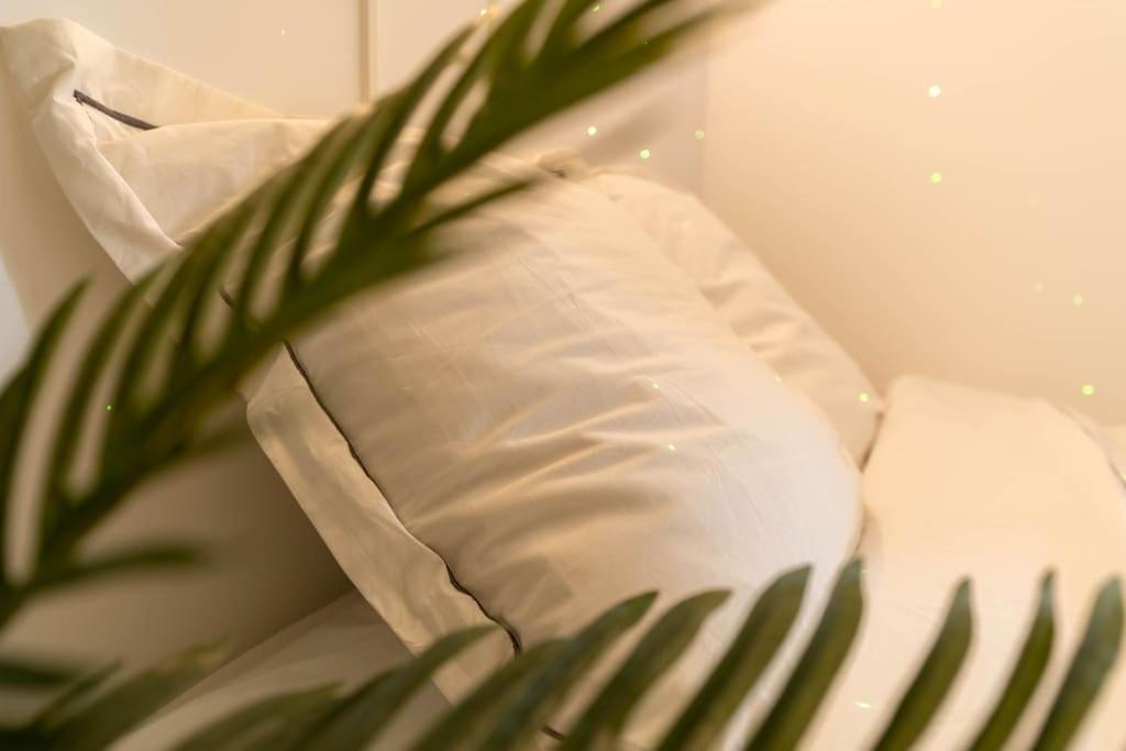 Apartment Ag5 Joli Cosy, Proche Mer, Wifi Nice