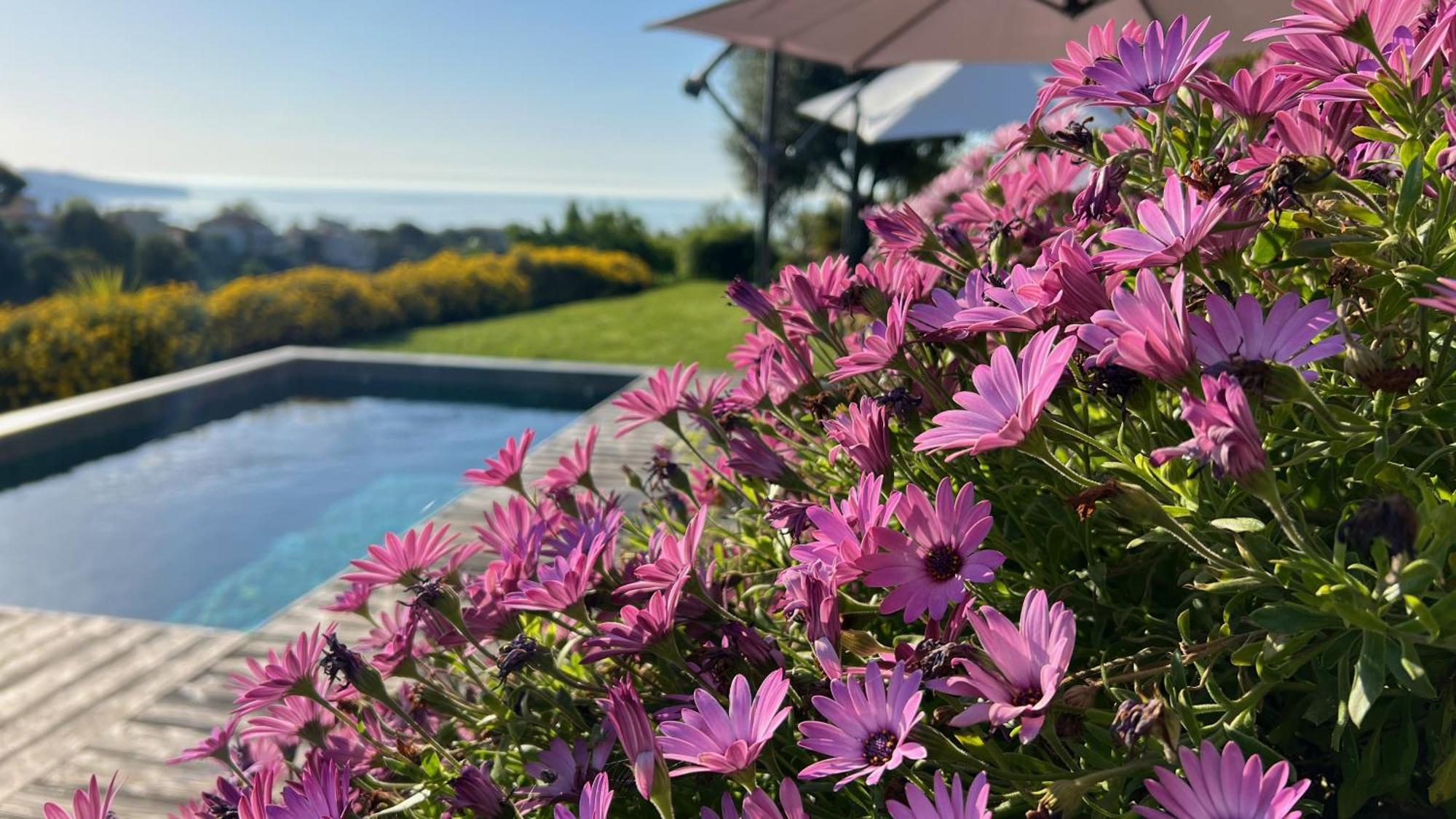 La Coulina Villa Nice