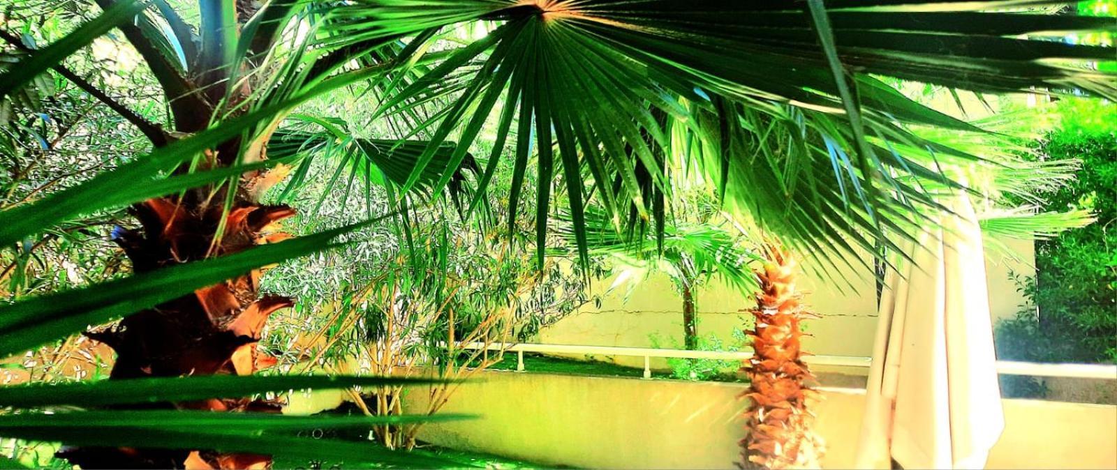Apartment La Pearl *