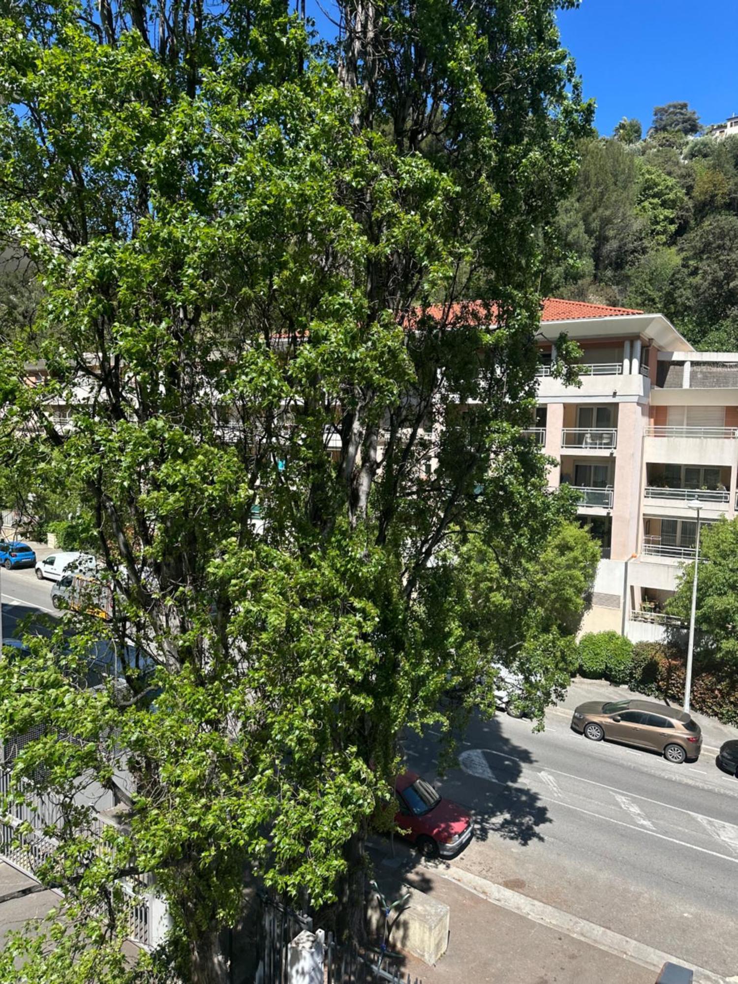 Grand Renove Proche ! Apartment Nice