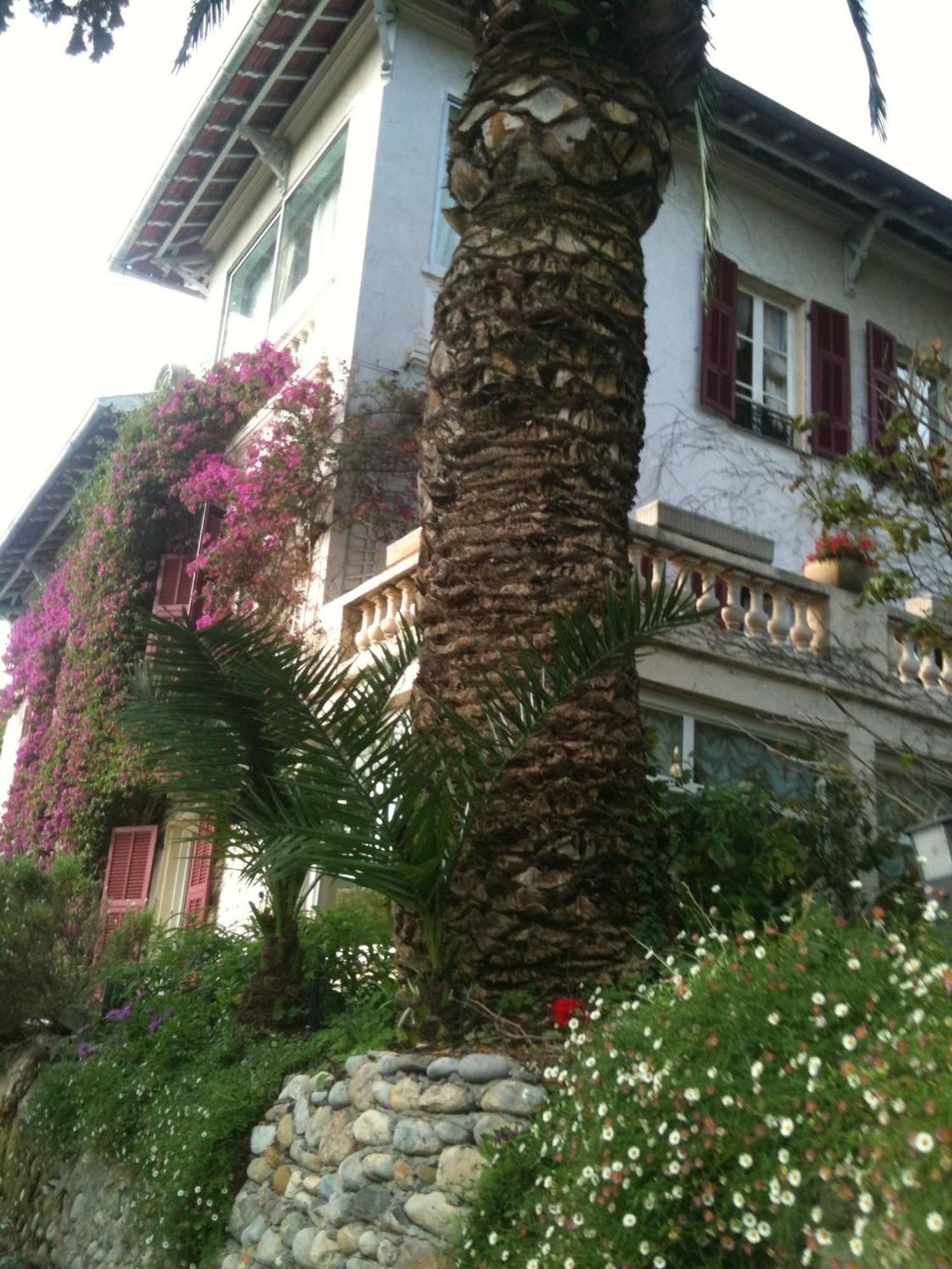 Castel Enchante Nice
